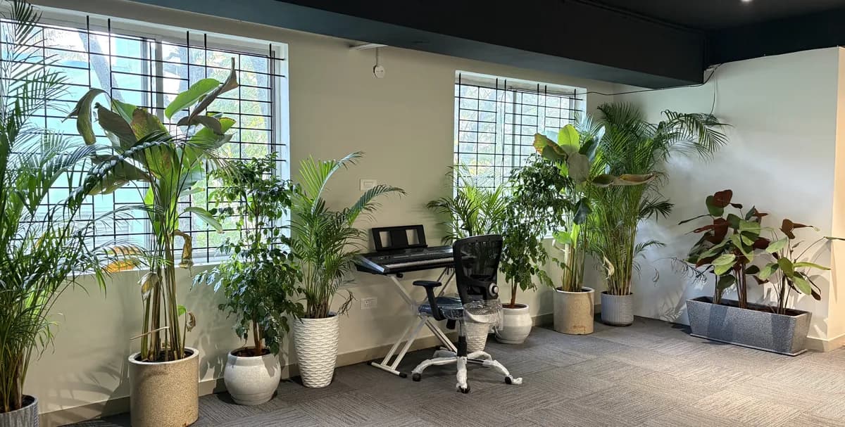 A corner of the office with tall indoor plants and a keyboard