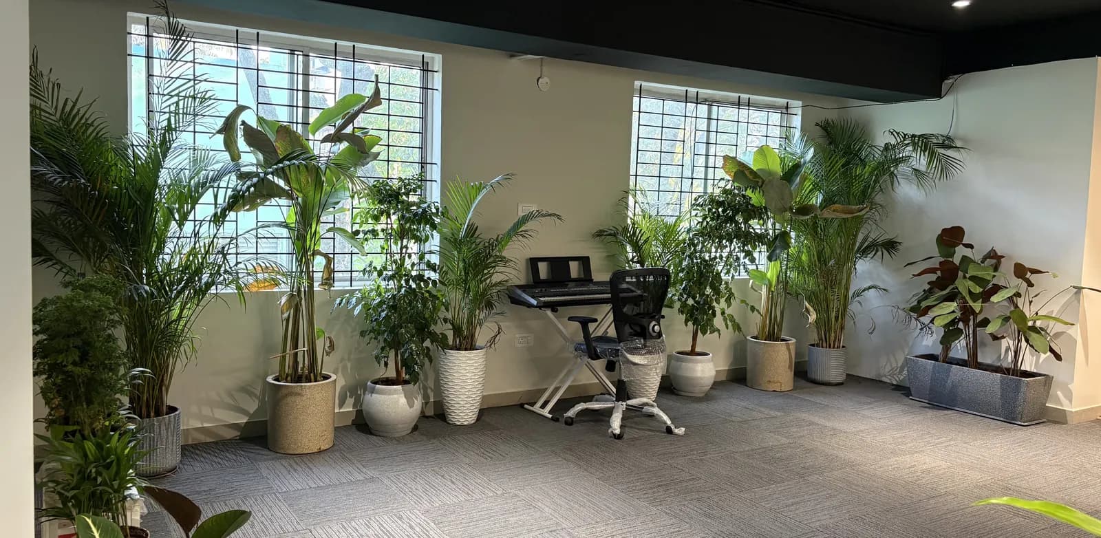 Indoor plants and a piano keyboard in the office lounge