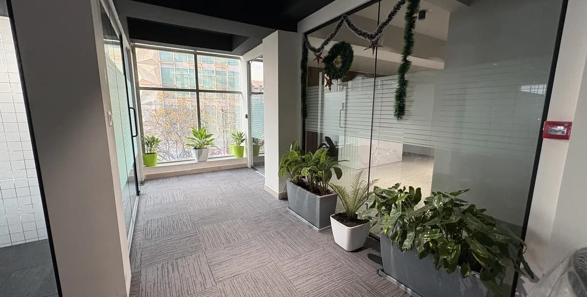 Glass-walled meeting area with plants